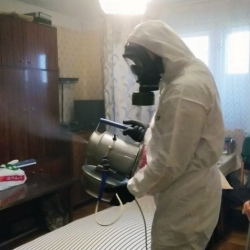 Дезинфекция от клопов в Новой Ладоге