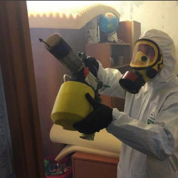 Уничтожение клопов в квартире. Новая Ладога